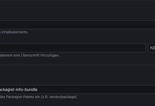 Einstellungen des Packagist Info Inhaltselements