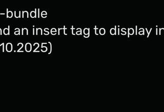 Standard-Frontend-Ausgabe des Packagist Info Inhaltselements