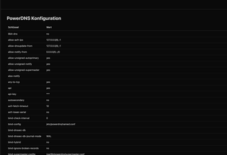 Screenshot der Seite "PowerDNS Konfiguration" in PowerADM